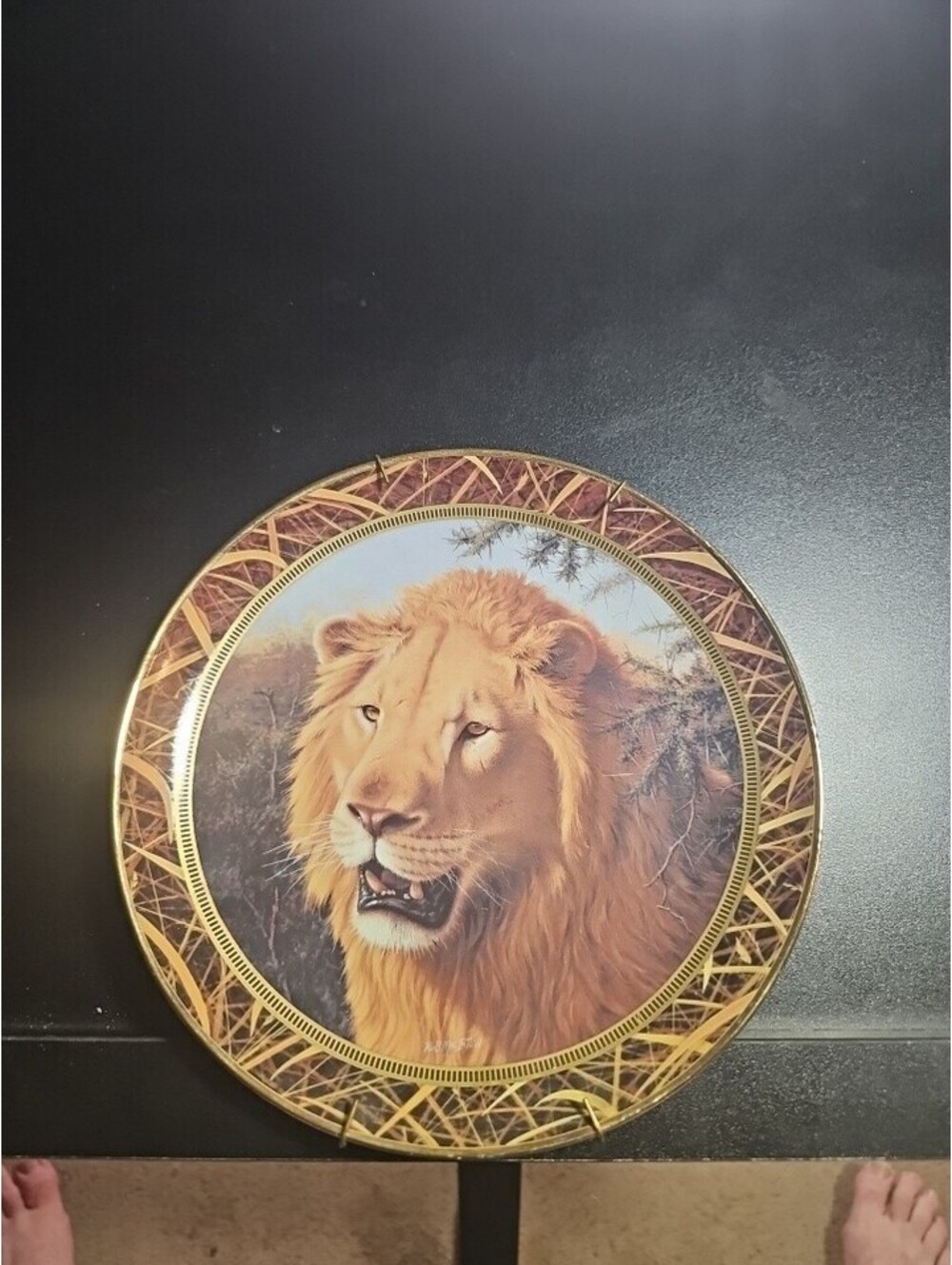 The Franklin Mint Sentinel Of The Seringeti Collector's Decorative Plate